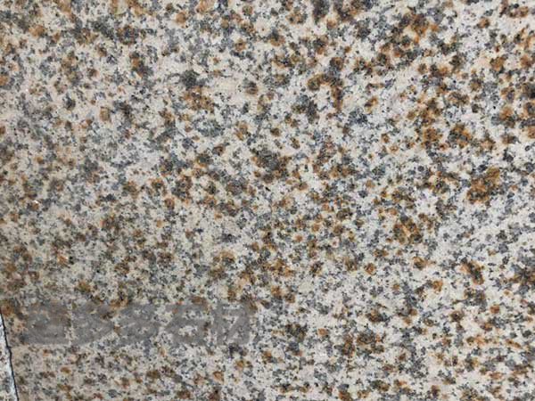 黃繡(xiù)石光面