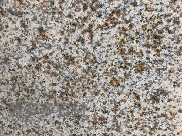 黃(huáng)繡石荔枝(zhi)面